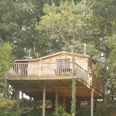 Dans Les Arbres A La Ferme Chalet *