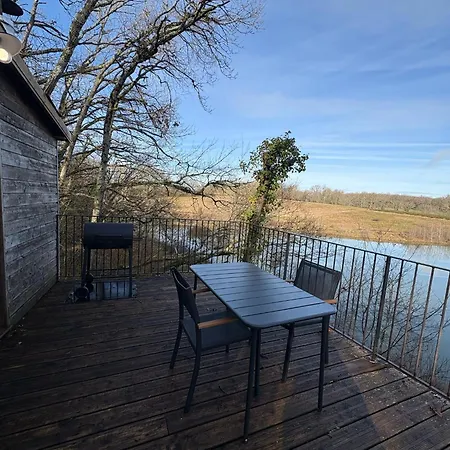 Dans Les Arbres A La Ferme
