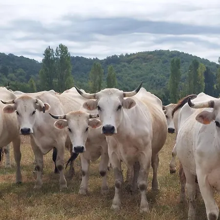 Ferme De L'aoueille