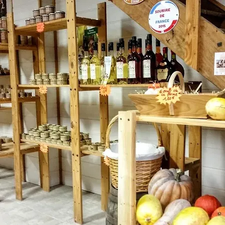 Ferme De L'aoueille Kompleks wypoczynkowy Pouylebon