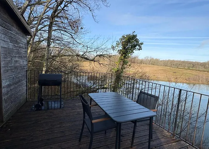 Dans Les Arbres A La Ferme